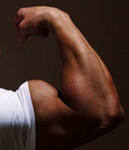 Specialization for biceps.